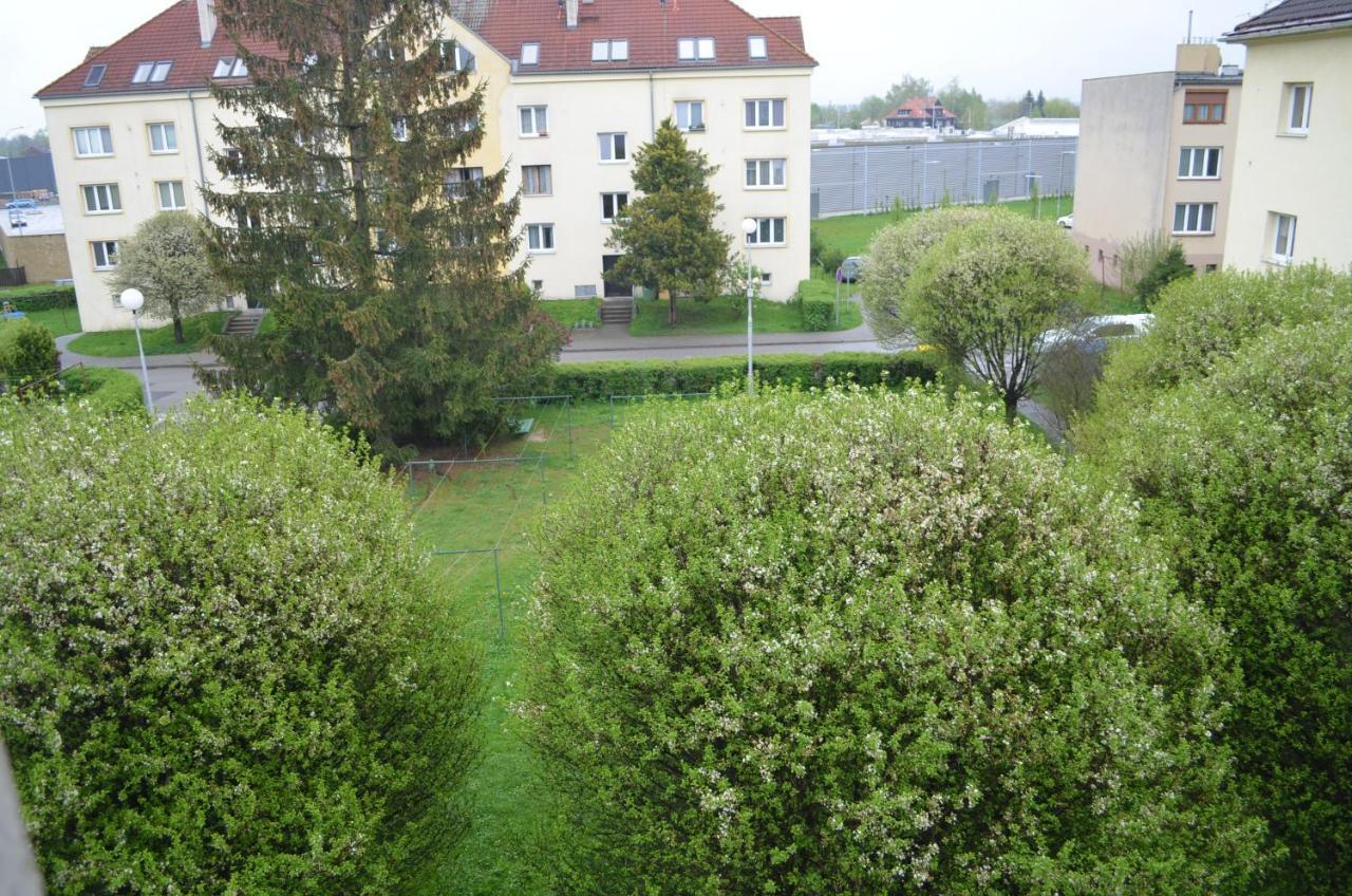 Room In Třeboň 外观 照片